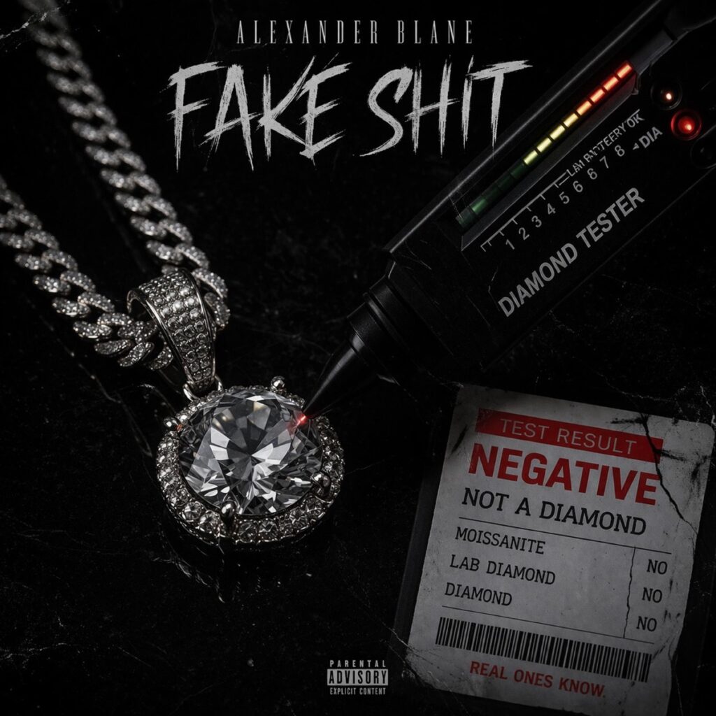 Fake Shit official artwork