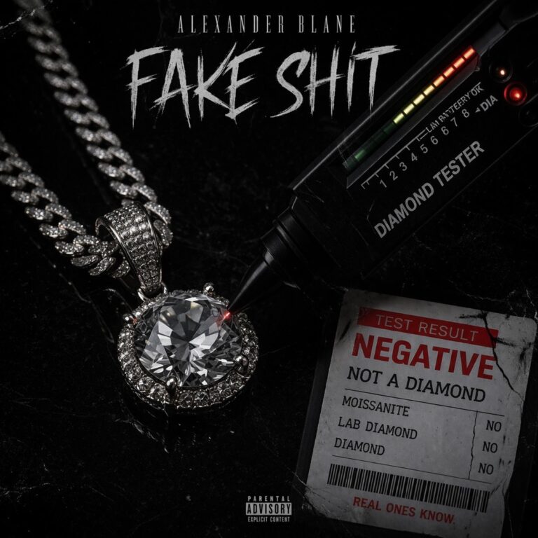 Fake Shit official artwork